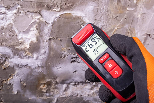 Best Home Mold Removal  in Milam, TX