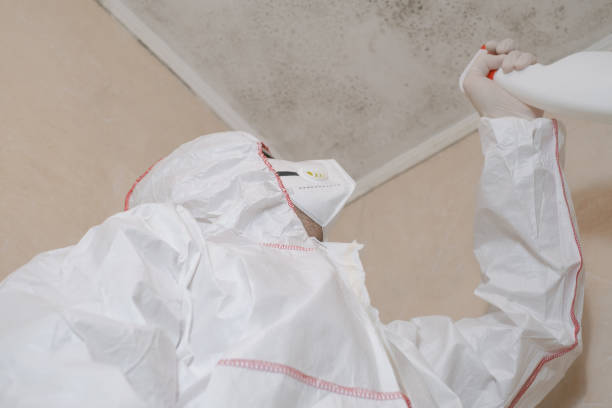 Best Toxic Mold Removal  in Milam, TX