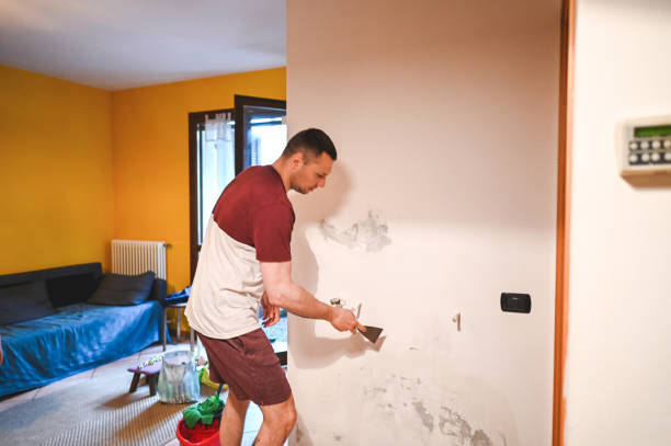 Best Commercial Mold Removal  in Milam, TX